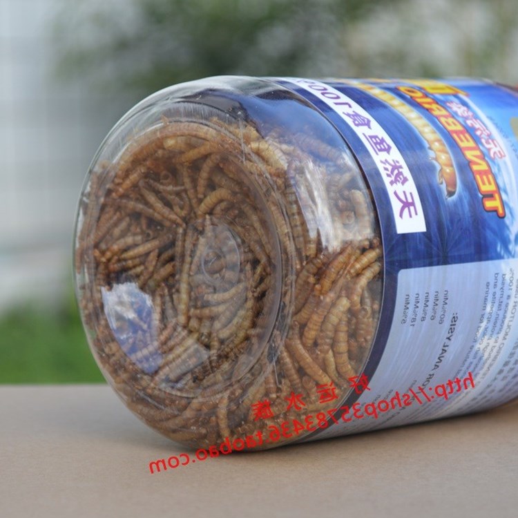 黄粉虫干 面包虫干鹦鹉鱼饲料金龙鱼画眉鸟石蛙乌龟150g包邮在类目 宠物/宠物食品及用品, 水族世界, 观赏鱼饲料中 - 来自Buy2taobao.com提供专业的淘宝代购服务