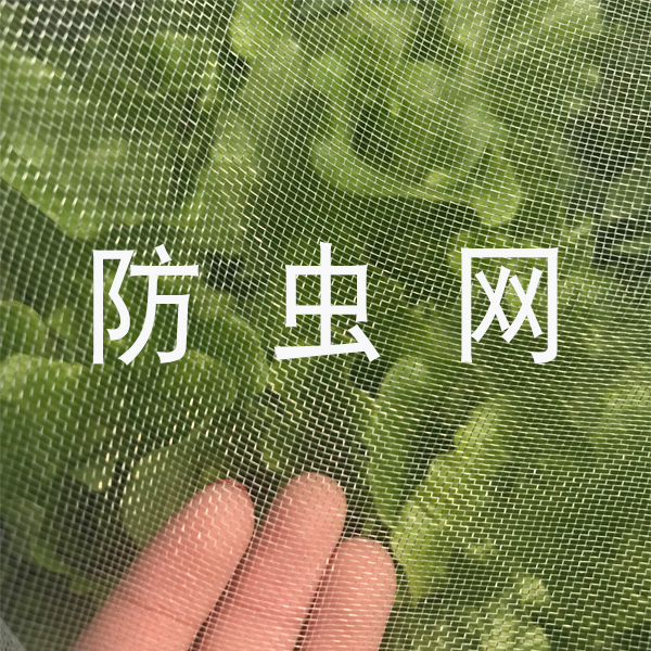 高密度 蔬菜 果树 种植防虫网在类目 鲜花速递/花卉仿真/绿植园艺, 园艺用品, 其它园艺用品中 - 来自Buy2taobao.com提供专业的淘宝代购服务