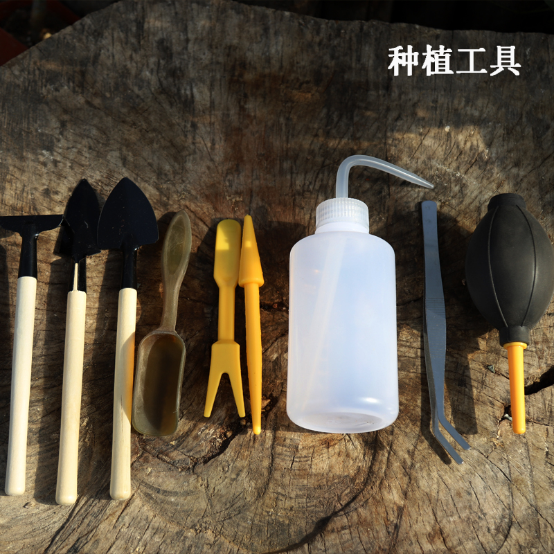 Muzeyuan Succulent plants plant tool Three Two piece set Blowing kettlein the Flower delivery/Flowers simulation/Plants gardening , Gardening supplies , Shovel/Harrow/Shovel/Hoe (New) , Rake category - from Buy2taobao.com to provide professional Taobao agent buy service
