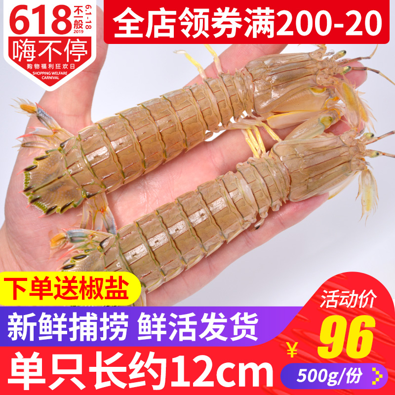 皮皮虾鲜活海鲜虾爬子新鲜虾姑懒尿虾琵琶虾活富贵虾水产鲜活500g在类目 水产肉类/新鲜蔬果/熟食, 海鲜/水产品/制品, 虾类, 活虾中 - 来自Buy2taobao.com提供专业的淘宝代购服务