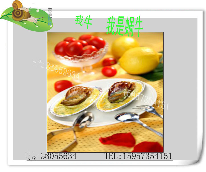 熱賣!法式田螺/法國焗蝸牛/貴妃蝸牛/ 8元/包 2只西餐廳酒店在類目 寵物/寵物食品及用品, 其它寵物, 其它寵物中 - 來自Buy2taobao.com提供專業的淘寶代購服務