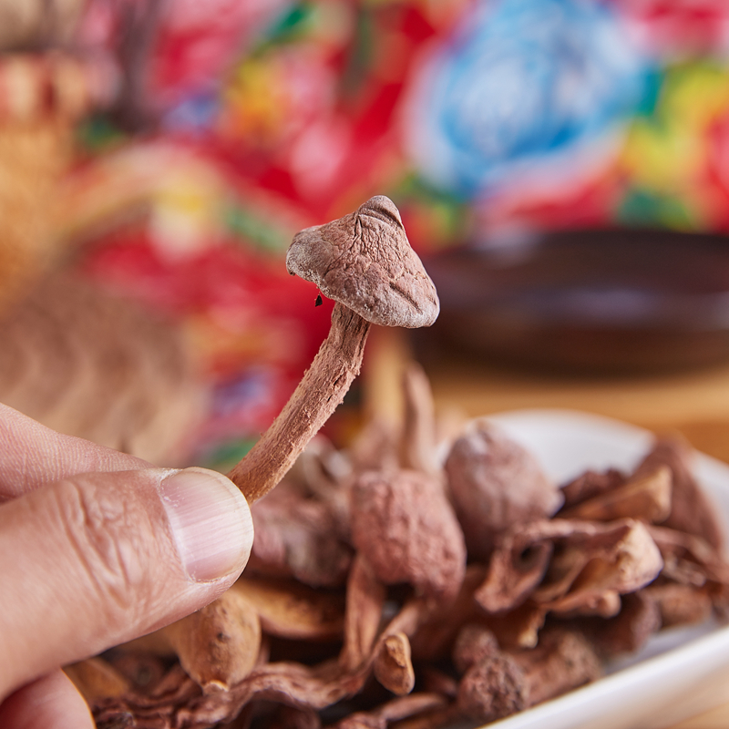 Northeast Specialty Red mushroom Red mushroom Pine mushroom Umbrella pine Umbrella pine mushroom Vegetarian meat New year goods 50 gramin the Agri rice/Dried foods/Condiment , Dried foods/Meat Dry , Dry/Native , Mushroom category category - from Buy2taobao.com to provide professional Taobao agent buy service