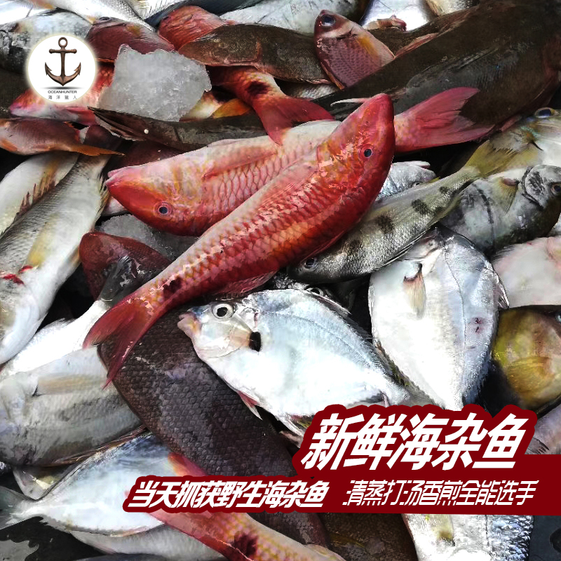 海钓杂鱼新鲜海鱼,海杂鱼|msdalam kategori daging perikanan/Buah-buahan segar dan sayur-sayuran/dimasak, makanan laut/produk akuatik/produk, produk ikan, Maw/isinglass - dari Buy2taobao.com untuk memberikan perkhidmatan ejen Taobao profesional membeli