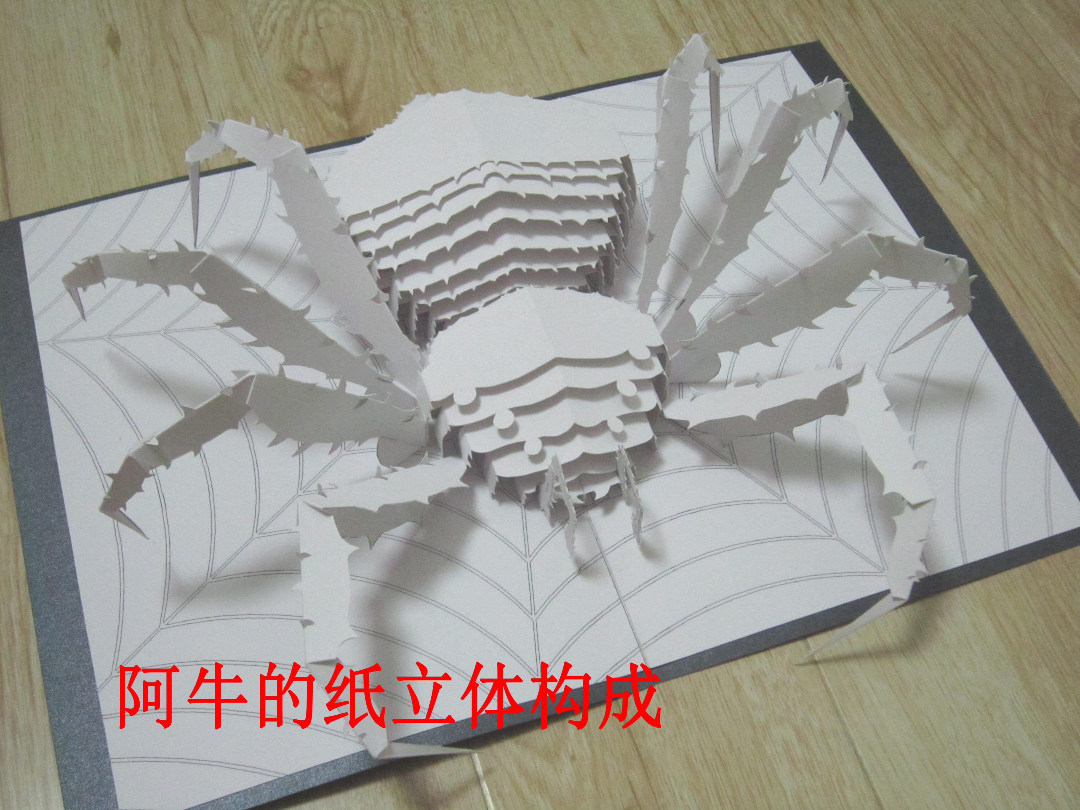 昆虫动物折纸模型:蜘蛛 立体仿生构成作业 手工创意生日礼物在类目 商务/设计服务, 设计服务, 设计素材/源文件中 - 来自Buy2taobao.com提供专业的淘宝代购服务