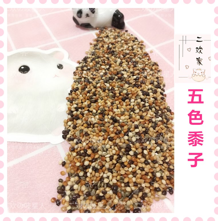【买5送1】仓鼠 金丝熊 小动物主粮 伴侣 混粮红黍子五色黍子 50G在类目 宠物/宠物食品及用品, 仓鼠类及其它小宠, 饲料/零食中 - 来自Buy2taobao.com提供专业的淘宝代购服务