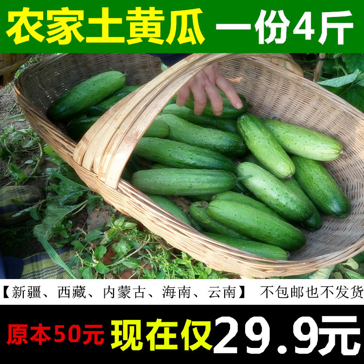 施农家肥的新鲜蔬菜现摘本地小黄瓜露天旱地种植一份有4斤免邮在类目 水产肉类/新鲜蔬果/熟食, 新鲜蔬菜/蔬菜制品, 新鲜蔬菜, 其它中 - 来自Buy2taobao.com提供专业的淘宝代购服务