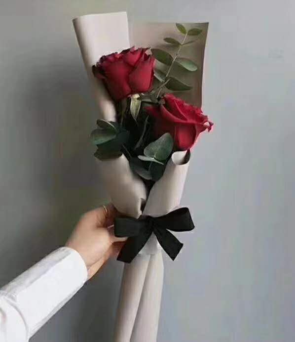 Carnation Bouquet of flowers Guangzhou flower express Beijing Shanghai Same city birthday Mother's Day activity flowerin the Flower delivery/Flowers simulation/Plants gardening , Flower delivery(City) category - from Buy2taobao.com to provide professional Taobao agent buy service