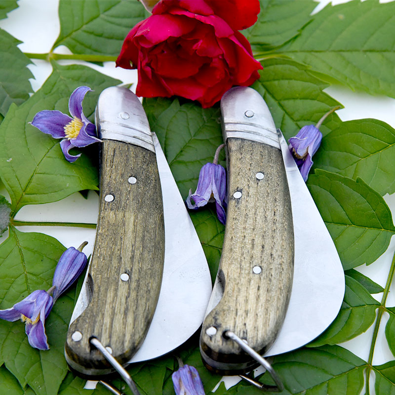 White flowers Grafting knife Vegetable and fruit picking knife Multipurpose Multi functional knife outdoors tool express Artifactin the Flower delivery/Flowers simulation/Plants gardening , Gardening supplies , Gardening/Knife/Scissors/Saw (New) , Budding knife category - from Buy2taobao.com to provide professional Taobao agent buy service
