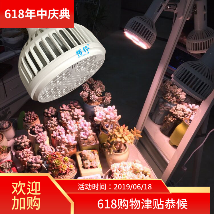Plant Lights Succulent Fill Light Color Spectrum led sunlight Fresh Cordyceps flowers and plants Grow lights Fleshy lightin the Decoration main material , Light source , LED Light source , LED Single lamp category - from Buy2taobao.com to provide professional Taobao agent buy service