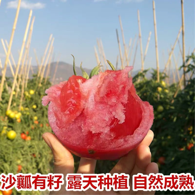不发货,勿拍在类目 水产肉类/新鲜蔬果/熟食, 新鲜蔬菜/蔬菜制品, 新鲜蔬菜, 番茄中 - 来自Buy2taobao.com提供专业的淘宝代购服务