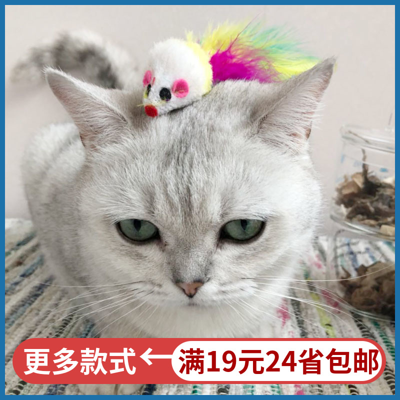 猫玩具套装逗猫棒逗猫笔宠物猫咪小猫羽毛老鼠不倒翁玩具球猫喜欢|msdalam kategori haiwan peliharaan/makanan haiwan dan bekalan, Cat/Mainan anjing, bola getah/mainan sfera - dari Buy2taobao.com untuk memberikan perkhidmatan ejen Taobao profesional membeli