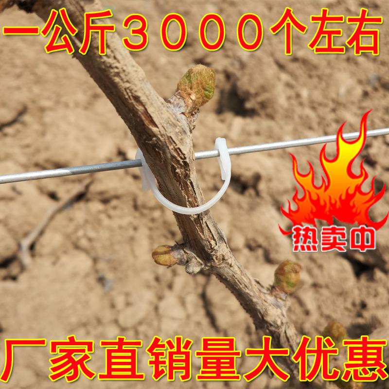 葡萄绑枝卡 猕猴桃绑枝卡 耐老化 固定扣 绑枝卡在类目 农机/农具/农膜, 农业工具, 其它农用工具中 - 来自Buy2taobao.com提供专业的淘宝代购服务