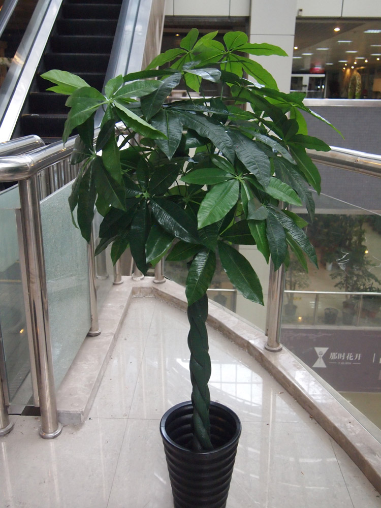 Artificial Plants Simulation tree simulation Pachira a living room decorate Artificial flower Silk flower Countryside European stylein the Flower delivery/Flowers simulation/Plants gardening , Artificial flowers/Plants/Finished fruits and vegetables (New) , Simulation plants category - from Buy2taobao.com to provide professional Taobao agent buy service
