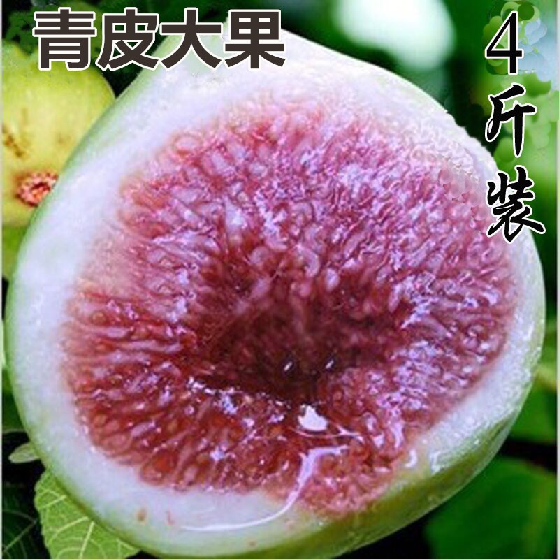 4斤装 威海特产新鲜冷冻青皮无花果鲜果 顺丰包邮在类目 水产肉类/新鲜蔬果/熟食, 新鲜水果, 其它中 - 来自Buy2taobao.com提供专业的淘宝代购服务