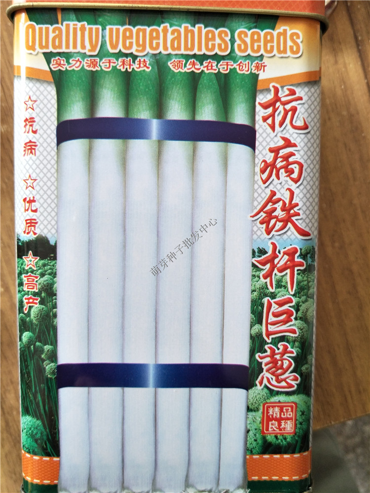 抗病鐵杆巨蔥抗病章丘四季優質抗寒耐儲存抗熱畝産高抗倒伏包郵在類目 農用物資, 種子/種苗, 蔬菜種子中 - 來自Buy2taobao.com提供專業的淘寶代購服務