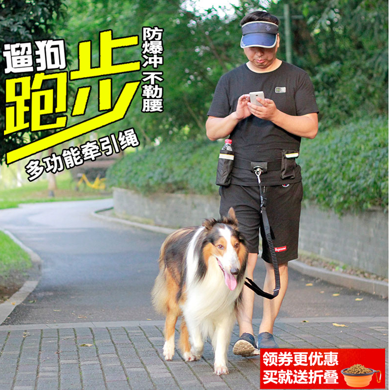 Germany High-end Pets run Traction rope explosion-proof Dog chain motion train Dog rope Large dogs Leashesin the Pet/Pet food and supplies , Cat/Dog Supplies , Household leashes category - from Buy2taobao.com to provide professional Taobao agent buy service