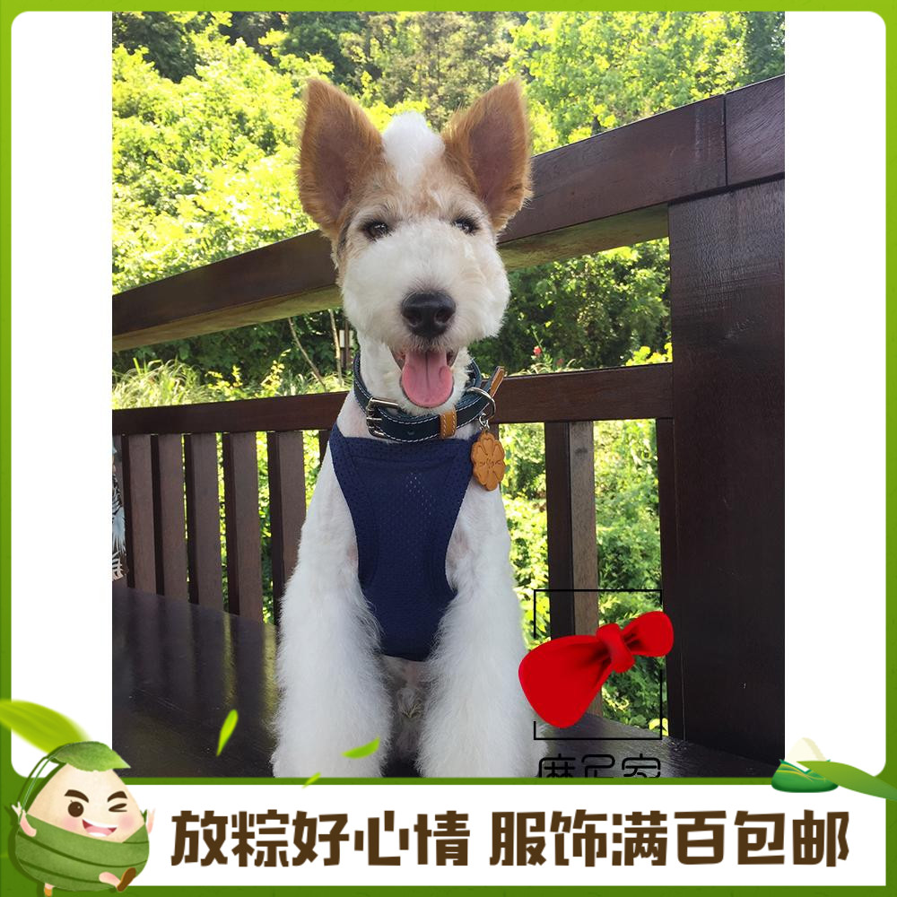 宝眷unpet宠物猫狗饰品 意大利植鞣皮手工刻字定制项圈 热卖单品在类目 宠物/宠物食品及用品, 宠物服饰及配件, 挂饰/挂牌中 - 来自Buy2taobao.com提供专业的淘宝代购服务