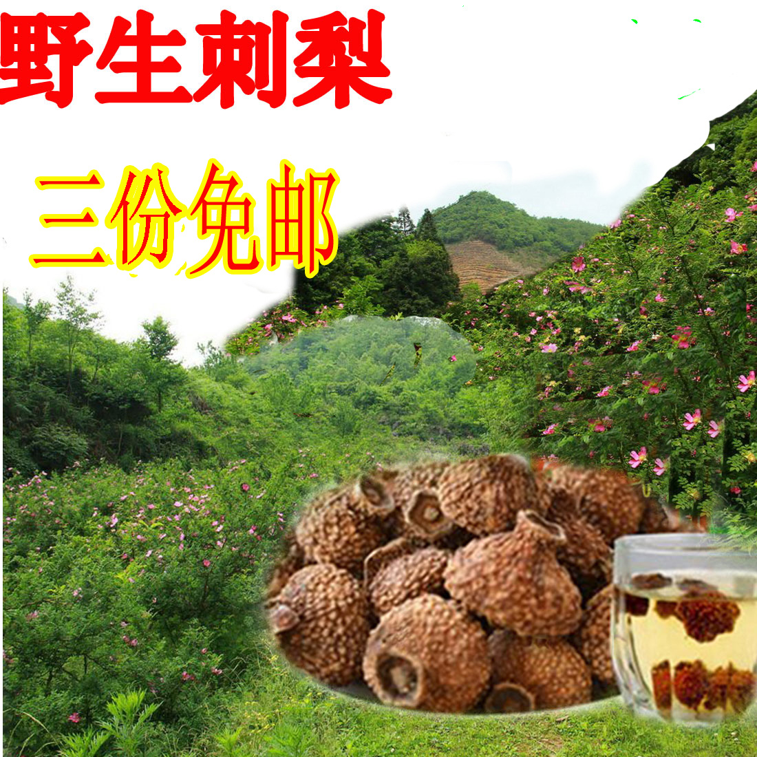開封永康野生刺梨果幹新刺梨幹河南特産天然VC泡茶泡酒養生茶特級在類目 零食/堅果/特產, 蜜餞/棗類/梅/果乾, 棗類製品中 - 來自Buy2taobao.com提供專業的淘寶代購服務