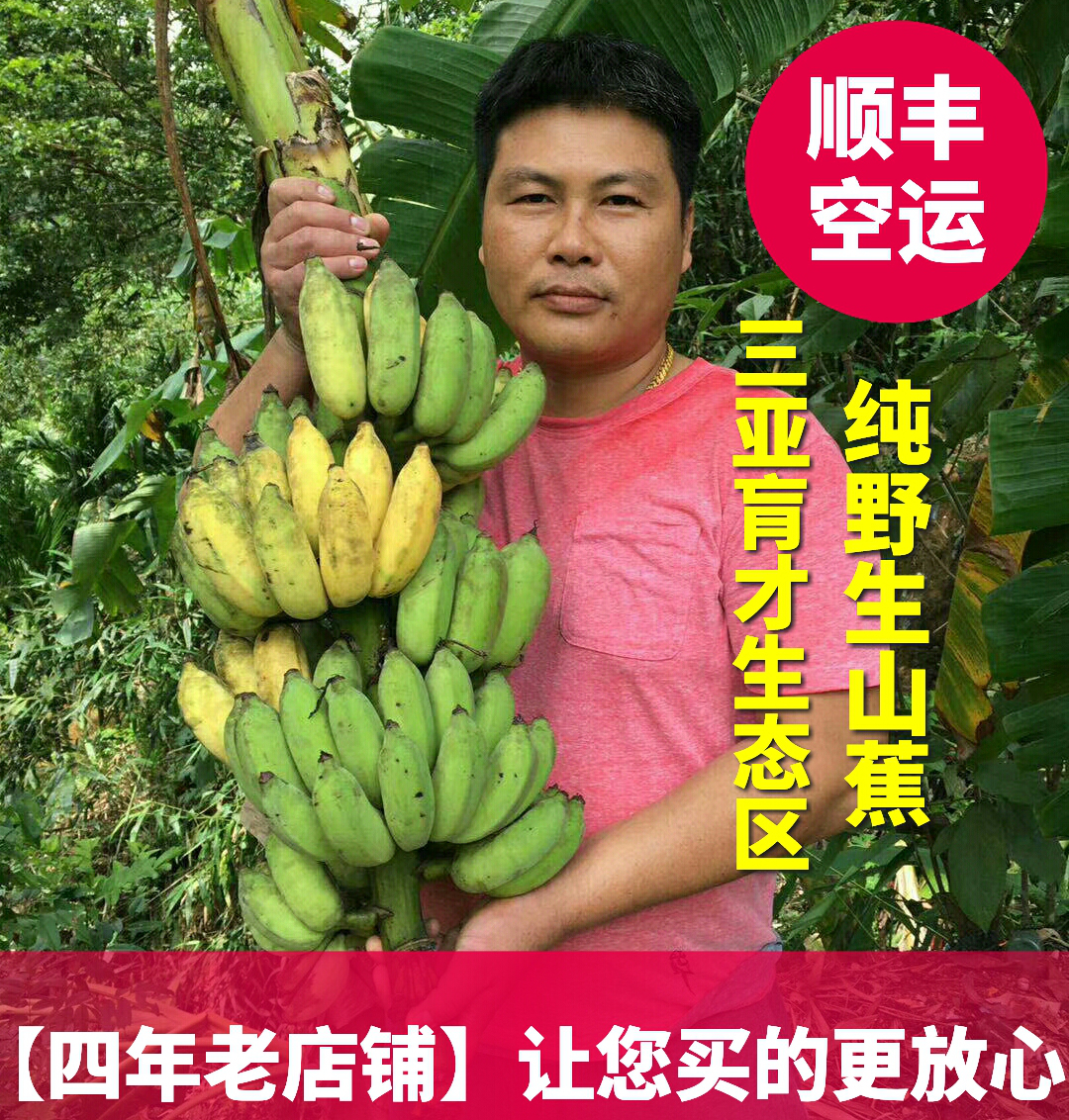 香蕉 三亚水果 野生高山蕉,高山米蕉,4斤包邮京东在类目 水产肉类/新鲜蔬果/熟食, 新鲜水果, 香蕉中 - 来自Buy2taobao.com提供专业的淘宝代购服务