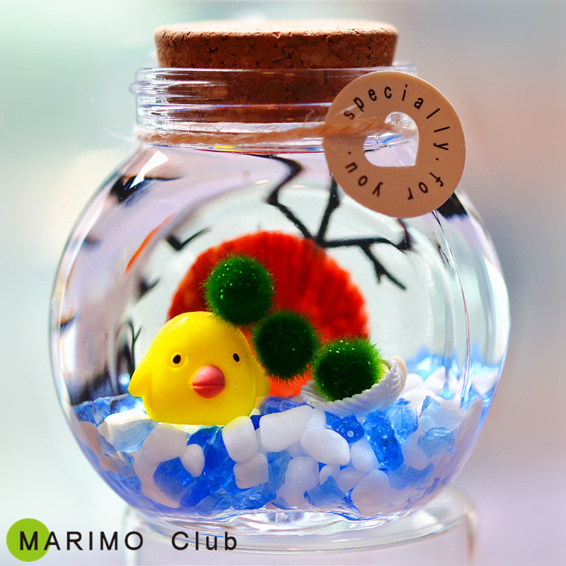 whole country marimo Happiness algae ball DIY Eco-Bottle desktop Micro Landscape Hydroponic plants originality giftin the Flower delivery/Flowers simulation/Plants gardening , Creative mini-plant category - from Buy2taobao.com to provide professional Taobao agent buy service