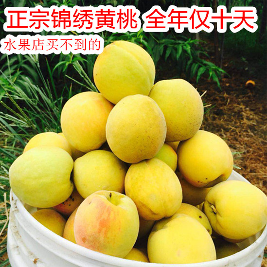 C禮盒裝 新鮮水果 姚莊錦繡黃桃 孕婦兒童水果12顆6兩以上淨重7斤在類目 水產肉類/新鮮蔬果/熟食, 新鮮水果, 桃中 - 來自Buy2taobao.com提供專業的淘寶代購服務