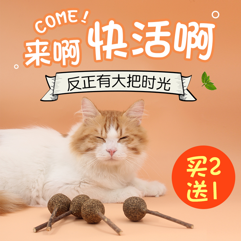 貓薄荷球寵物貓咪棒棒糖玩具上瘾逗貓棒零食木天蓼貓草磨牙棒在類目 寵物/寵物食品及用品, 貓/狗玩具, 逗貓棒中 - 來自Buy2taobao.com提供專業的淘寶代購服務