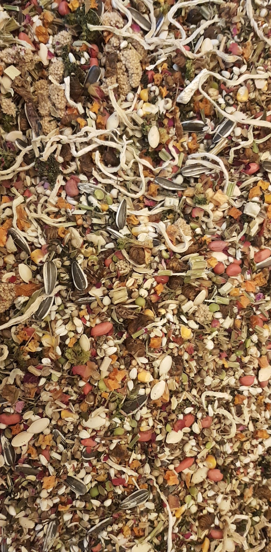 【走南】金丝熊通心粉高蛋白自配粮通心粉专用鼠粮饲料零食|ruв категории животное/Животное питание и принадлежностей, хомяк класса и других малых животное, небольшой питомца принадлежностей (новая), другие - от Buy2taobao.com для оказания профессиональной услуги покупки агента Taobao