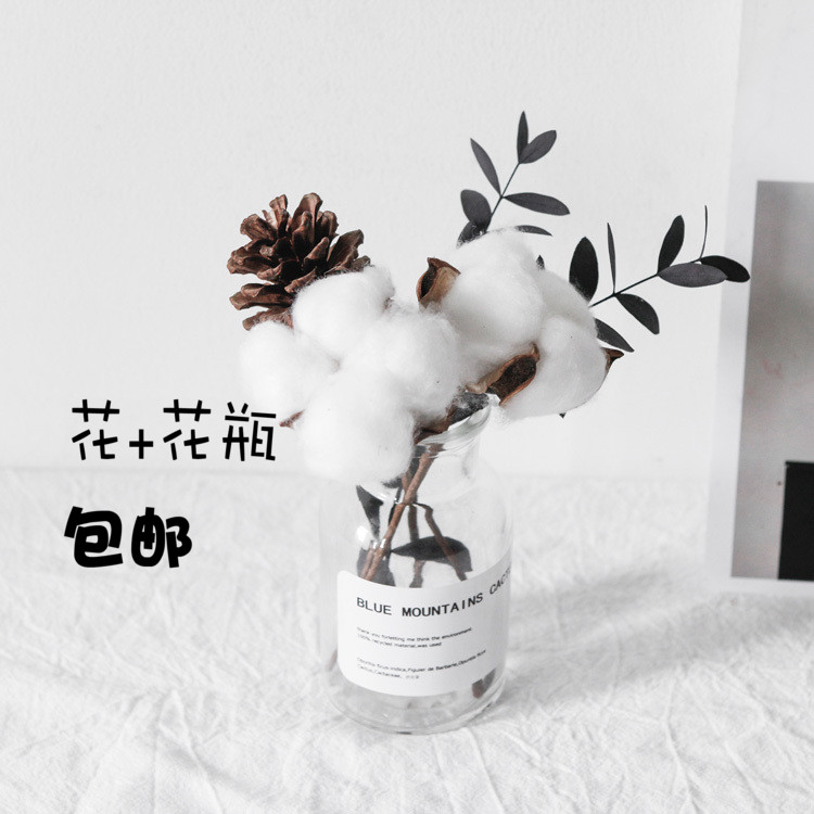 北欧ins风小清新家居棉花小花束松果含花瓶客厅装饰摄影道具背景在类目 家居饰品, 花瓶/花器/仿真花/仿真饰品, 干花/花瓣/干花包/干树枝中 - 来自Buy2taobao.com提供专业的淘宝代购服务