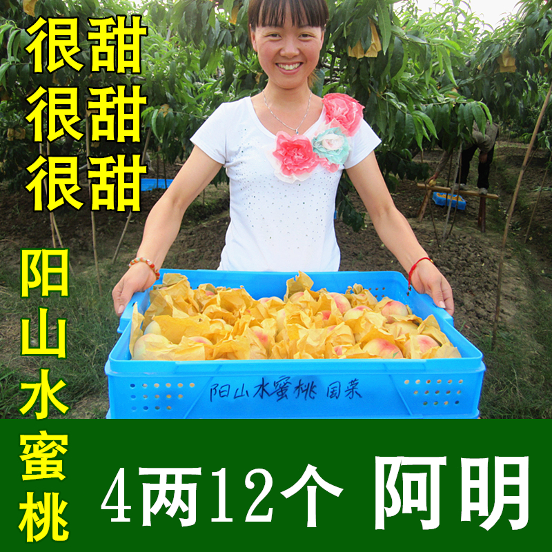 【阿明】正宗无锡阳山水蜜桃水果新鲜 4两12个 桃子 老牌稀有品种|ruв категории водной мясо/свежие фрукты и овощи/еда, свежие фрукты, персик - от Buy2taobao.com для оказания профессиональной услуги покупки агента Taobao