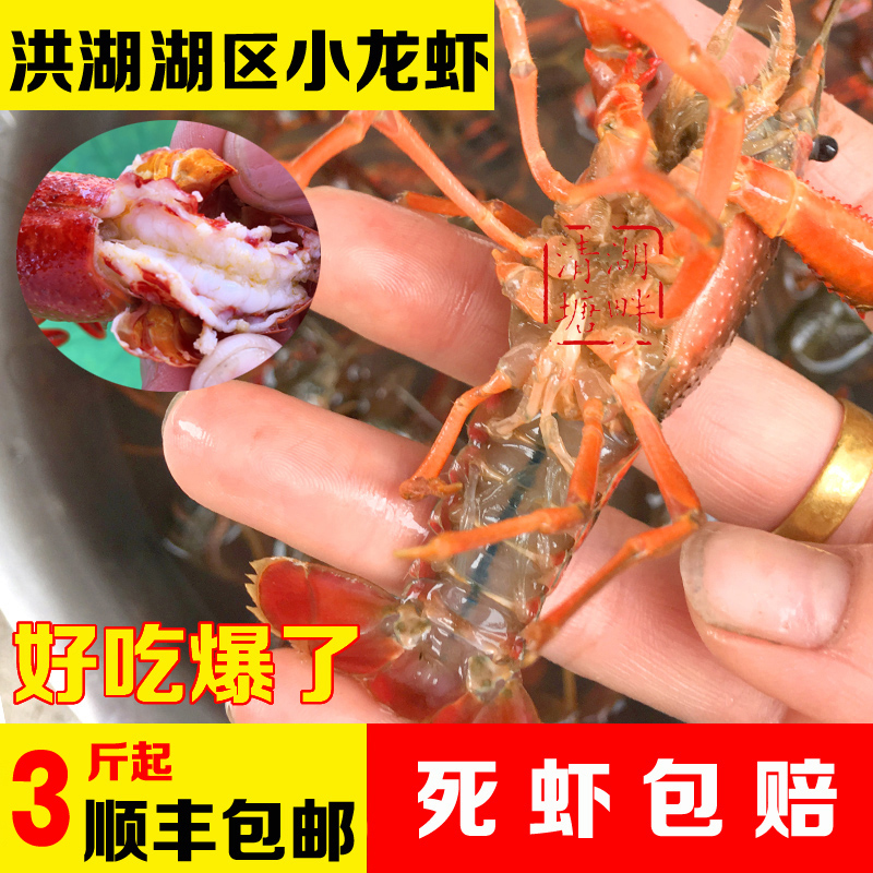 Crawfish Hubei Honghu Fresh lobster 456 3 pounds fresh living thing Crayfish Shunfengin the Aquatic meat/Fresh fruits and vegetables/Cooked , Seafood/Aquatic/Product , Shrimp , Huoxia category - from Buy2taobao.com to provide professional Taobao agent buy service