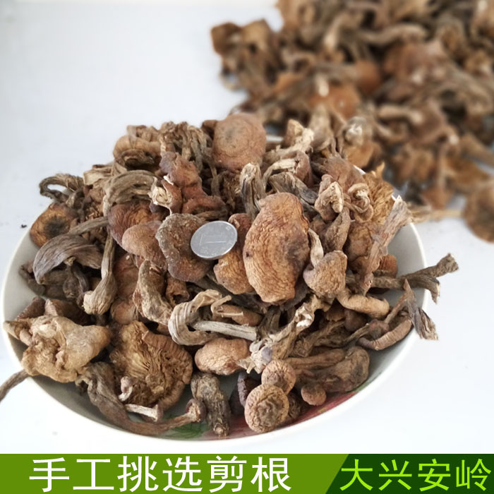 大興安嶺榛蘑 東北特産野生榛蘑菇幹貨 臻蘑無根500克包郵在類目 糧油米麪/南北乾貨/調味品, 南北乾貨/肉類乾貨, 乾貨/土特產, 香菇類中 - 來自Buy2taobao.com提供專業的淘寶代購服務