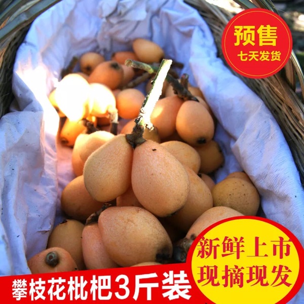 Panzhihua Loquat fresh fruit Precocious Loquat Sunlight Fresh keeping Up 15 Tian San Jin Packin the Tableware , Tableware , Fruit bowl/Fruit plate/Hamper category - from Buy2taobao.com to provide professional Taobao agent buy service