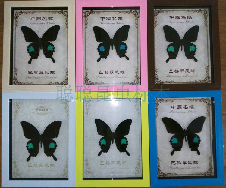 Papilio paris Butterfly specimens Photo frame birthday Lantern Lover Children's Day gift giftin the Home accessories , Frame/Frames category - from Buy2taobao.com to provide professional Taobao agent buy service