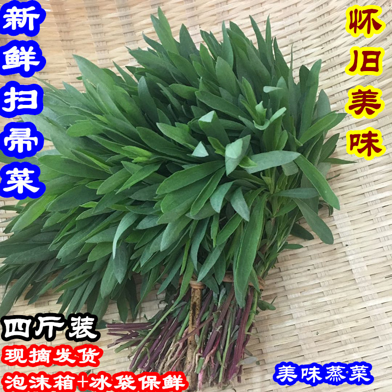 新鲜扫帚菜4斤装包邮野菠菜 扫帚苗 野生铁扫帚菜 新鲜野菜蒸野菜在类目 水产肉类/新鲜蔬果/熟食, 新鲜蔬菜/蔬菜制品, 新鲜蔬菜, 其它中 - 来自Buy2taobao.com提供专业的淘宝代购服务