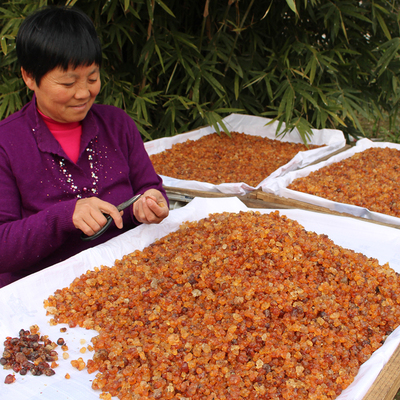 3送1歪妈农家自摘桃花泪天然野生桃胶500g包邮可配皂角米银耳雪燕