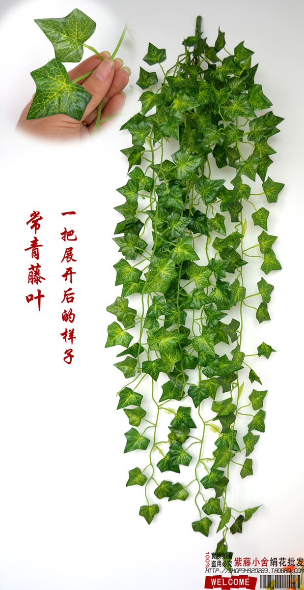 绿叶壁挂藤条 装饰花藤蔓常青藤假花仿真花塑料藤绢花叶藤|msdalam kategori penghantaran bunga/bunga simulasi/tumbuhan berkebun, bunga tiruan/tumbuh-tumbuhan hijau/Buah-buahan dan sayur-sayuran siap (baru), tumbuhan simulasi - dari Buy2taobao.com untuk memberikan perkhidmatan ejen Taobao profesional membeli