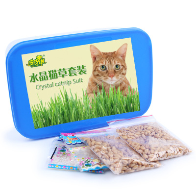 水晶猫草水培种植套装 吐毛球助消化 猫草种子种植套装 送猫薄荷在类目 宠物/宠物食品及用品, 猫/狗玩具, 其它玩具中 - 来自Buy2taobao.com提供专业的淘宝代购服务