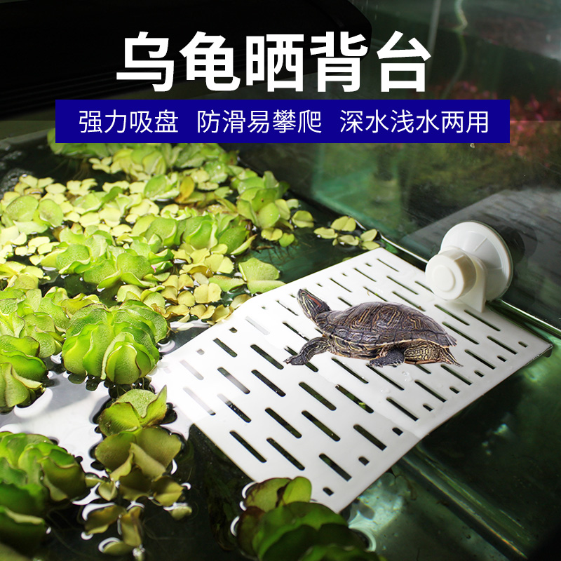晒台乌龟爬坡台水陆缸特大号亚克力带吸盘浮岛躲避洞天然造景爬台|ruв категории животное/Животное питание и принадлежностей, рептилии/насекомых и принадлежностей, рептилии/насекомых приборов - от Buy2taobao.com для оказания профессиональной услуги покупки агента Taobao