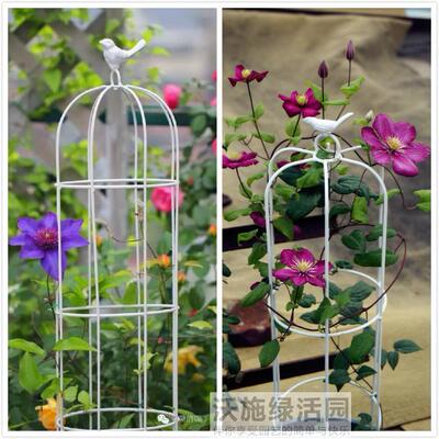 包邮铁艺鸟笼架爬藤花架小鸟花架铁线莲鸟笼爬藤架阳台一大一小