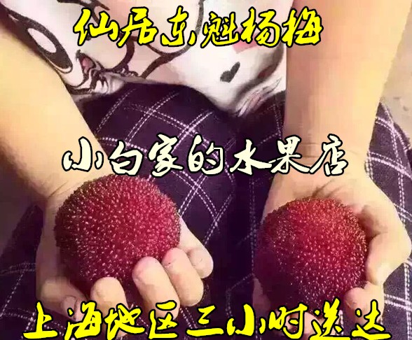 出口台湾 云南黑炭仙居东魁 黑杨梅 匠极乒乓球级别甜杨梅在类目 水产肉类/新鲜蔬果/熟食, 新鲜水果, 其它中 - 来自Buy2taobao.com提供专业的淘宝代购服务