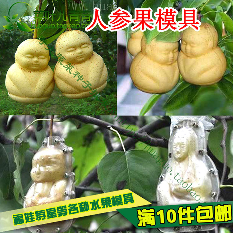 人参果模具福娃寿星喜娃心形水果葫芦定型模具黄瓜苹果梨西瓜甜瓜在类目 鲜花速递/花卉仿真/绿植园艺, DIY仿真花材料, 制作工具(新), 模具中 - 来自Buy2taobao.com提供专业的淘宝代购服务
