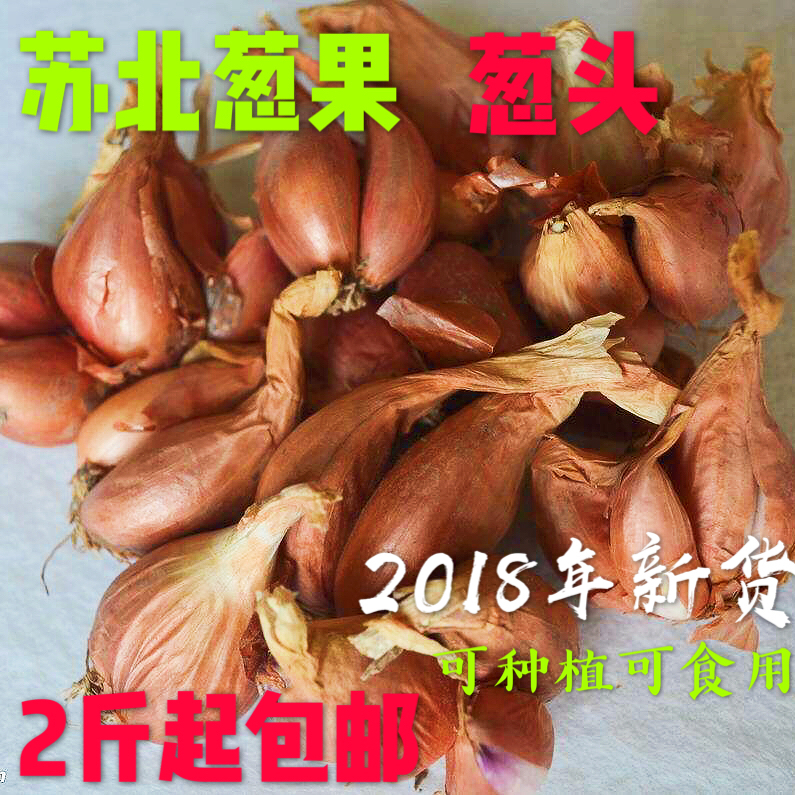 农家新鲜红葱头干葱果小香葱种子1斤装可做葱油葱酥 香葱头卤肉饭在类目 水产肉类/新鲜蔬果/熟食, 新鲜蔬菜/蔬菜制品, 新鲜蔬菜, 其它中 - 来自Buy2taobao.com提供专业的淘宝代购服务