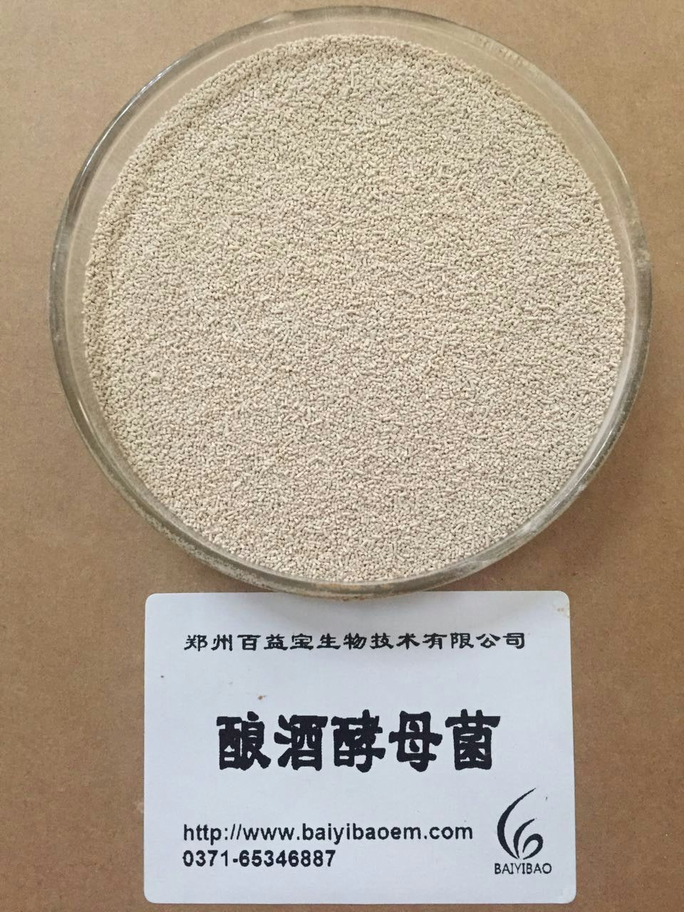 酿酒酵母菌 200亿