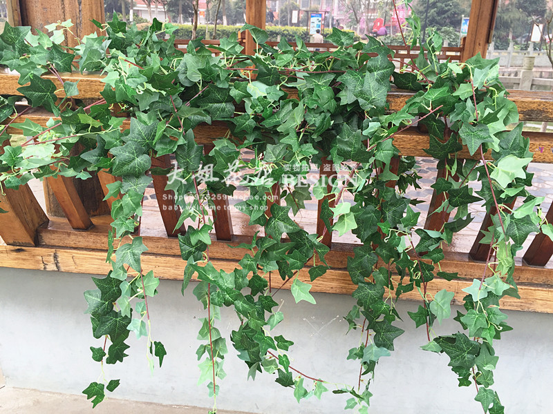 仿真常春藤仿真植物牆配材高檔綠色植物壁挂仿真藤蔓葉子綠植綠蘿在類目 鮮花速遞/花卉仿真/綠植園藝, 仿真花/綠植/蔬果成品(新), 仿真綠植中 - 來自Buy2taobao.com提供專業的淘寶代購服務