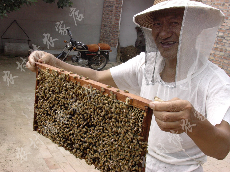 农村情 2018年农家枣花蜂蜜 不经过任何加工在类目 传统滋补营养品, 蜂蜜中 - 来自Buy2taobao.com提供专业的淘宝代购服务