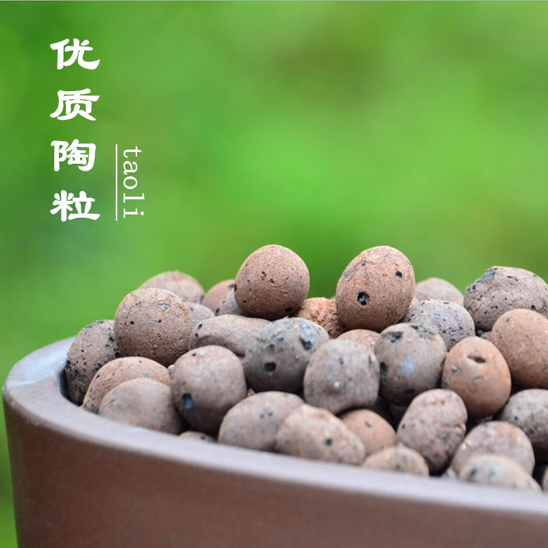 陶粒 介质园艺用品兰花土花盆垫底铺面盆底排水颗粒 多肉植物陶粒在类目 鲜花速递/花卉仿真/绿植园艺, 园艺用品, 家庭园艺肥料/营养土/营养液中 - 来自Buy2taobao.com提供专业的淘宝代购服务