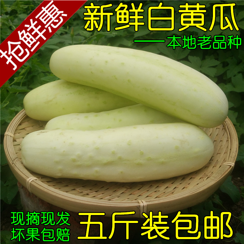 新鲜白黄瓜 湖北农家自种现摘白皮黄瓜油瓜黄瓜菜瓜应季 新鲜蔬菜在类目 水产肉类/新鲜蔬果/熟食, 新鲜蔬菜/蔬菜制品, 新鲜蔬菜, 其它中 - 来自Buy2taobao.com提供专业的淘宝代购服务