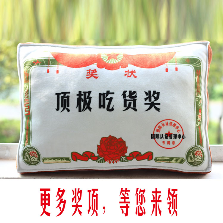 创意搞笑奖状毛绒抱枕靠垫送闺蜜男女朋友老公老婆公司活动礼物品