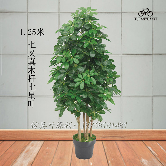 仿真植物盆景七星叶绿植客厅酒店橱窗装饰大树真木杆七星树假树在类目 鲜花速递/花卉仿真/绿植园艺, 仿真花/绿植/蔬果成品(新), 仿真绿植中 - 来自Buy2taobao.com提供专业的淘宝代购服务