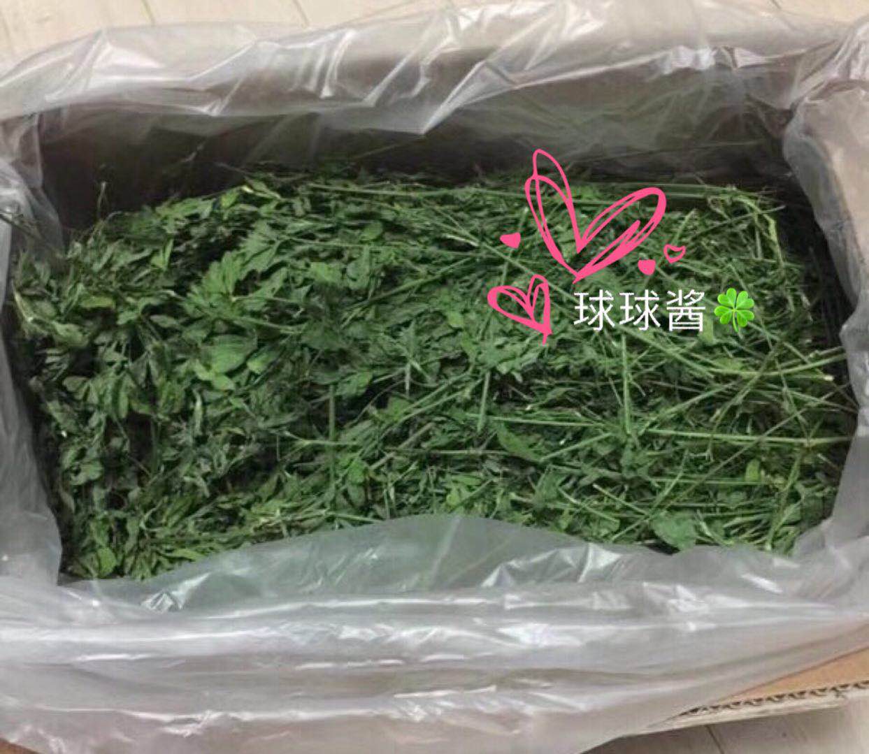 球球酱の2箱包运现货19年新草A级苜蓿龙猫兔子荷兰猪食用毛重1kg在类目 宠物/宠物食品及用品, 兔类及其用品, 其他中 - 来自Buy2taobao.com提供专业的淘宝代购服务